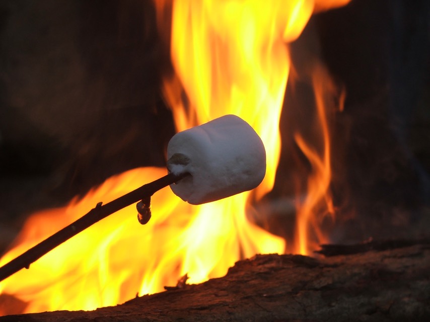 roast-marshmallows